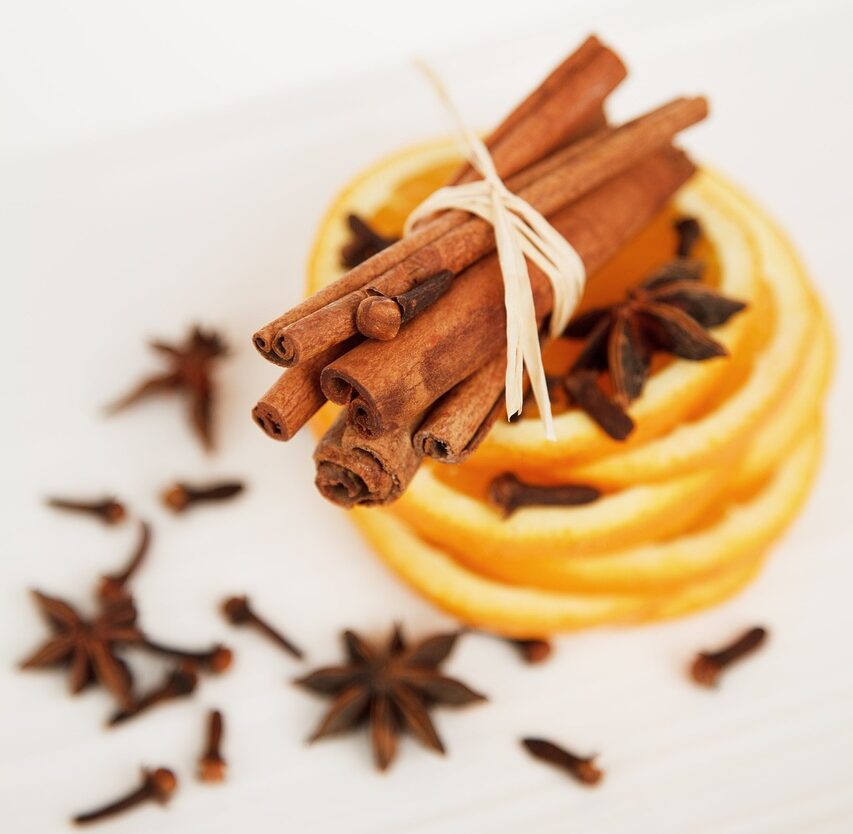 cinnamon sticks, star anise, orange slices-2926.jpg