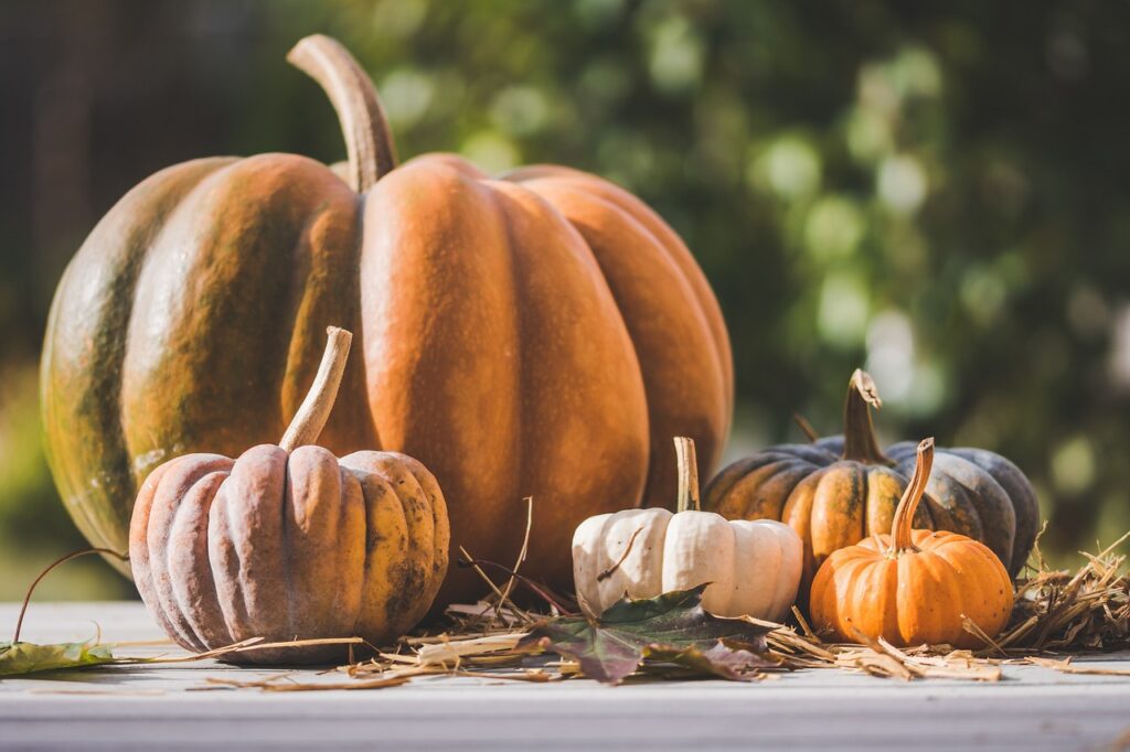 pumpkins, autumn, halloween-4528653.jpg