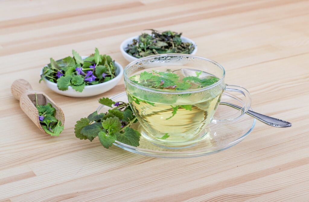 tea, nature, herbs-2427846.jpg