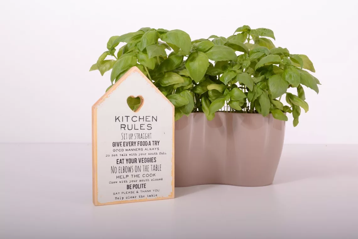 How to Grow Herbs from Seeds Indoors